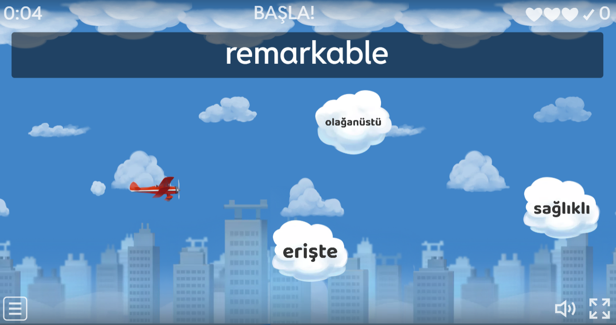 VOCABULARY - 4